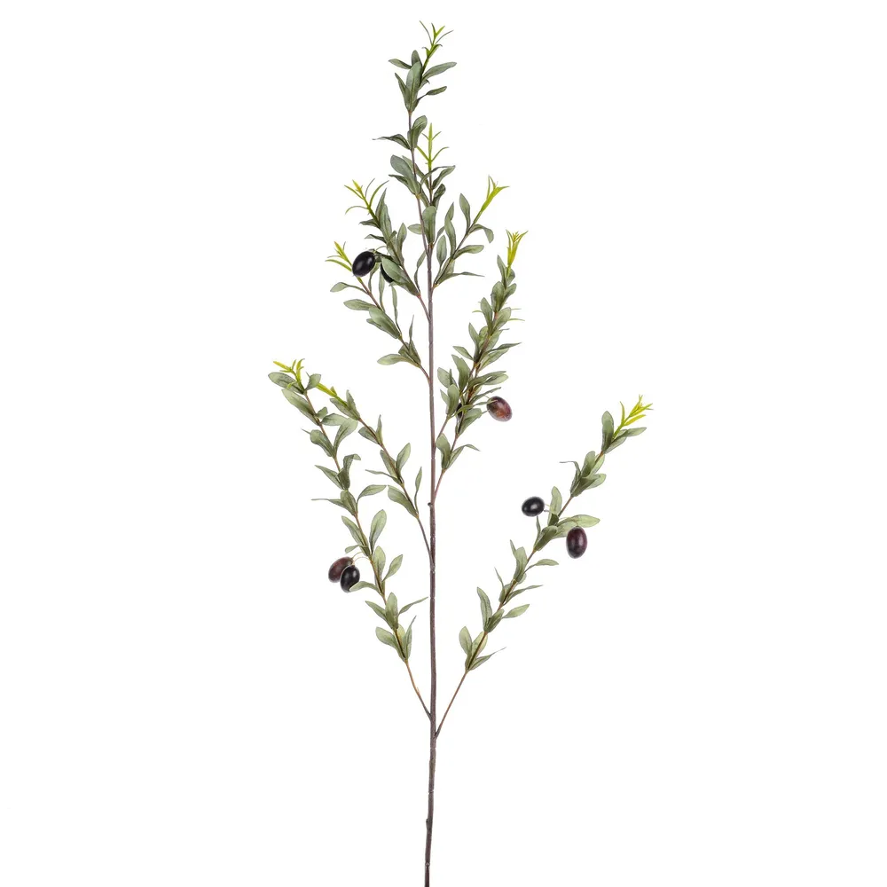 CB Olive Branch