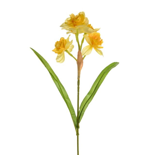 CB Daffodil Cheerfulness Yellow