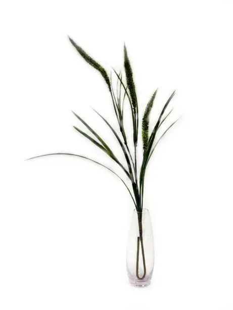 CB Meadow Cattail Spray