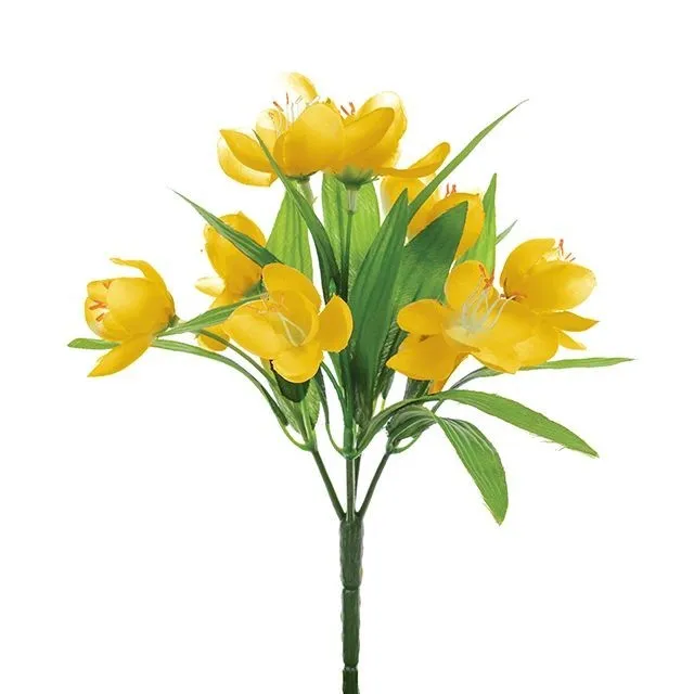 CB Crocus Bush Yellow