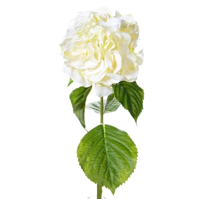 CB Hydrangea Stem Ivory 70cm