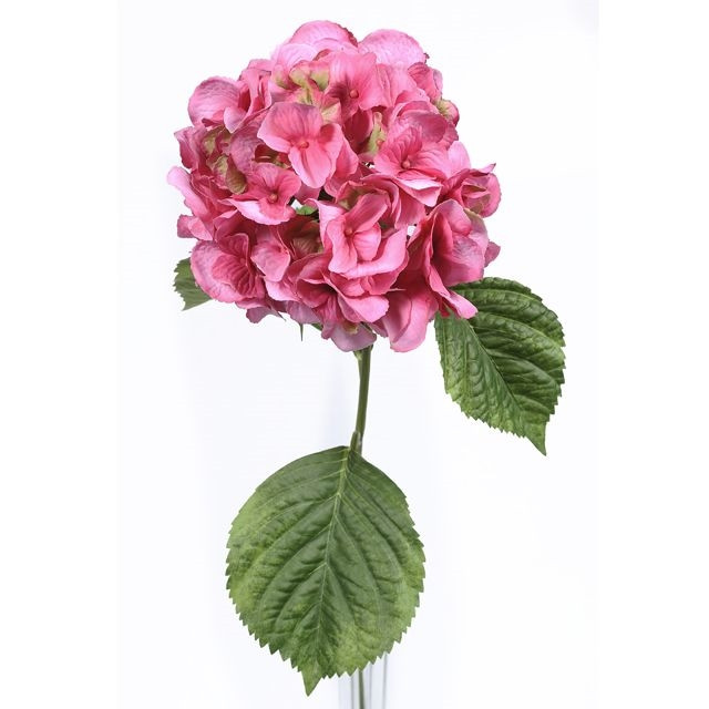 CB Hydrangea Stem Pink