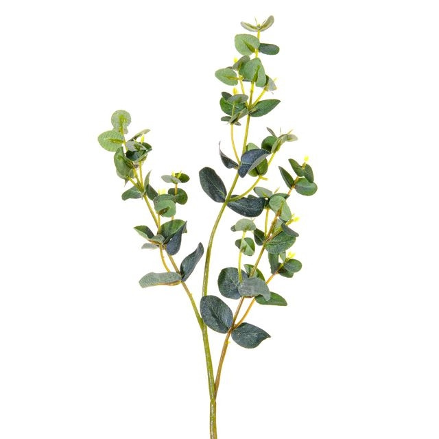 CB Eucalyptus Mini Spray Green