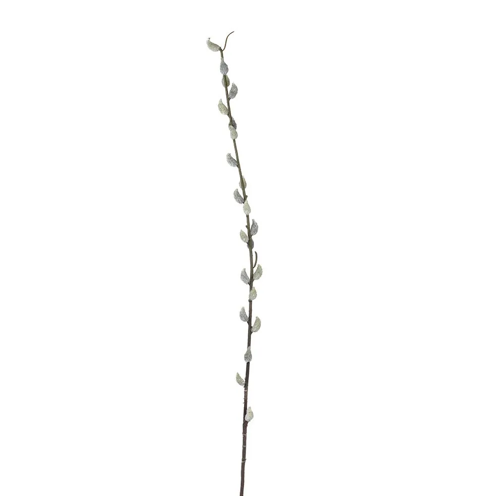 CB Pussy Willow Stem 80cm