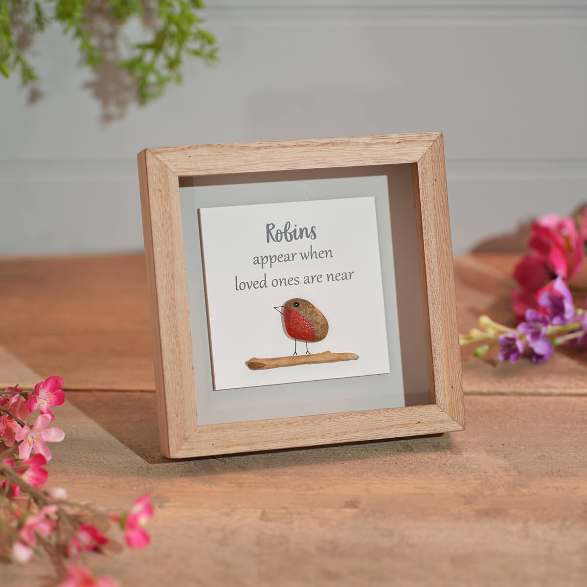 LA Robins Appear When Plaque