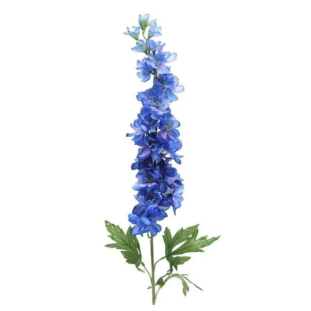 CB Delphinium Blue
