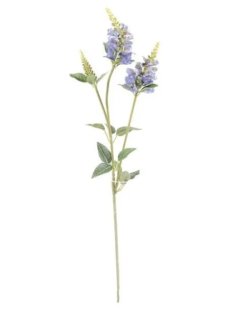 CB Physostegia Spray Blue 63cm