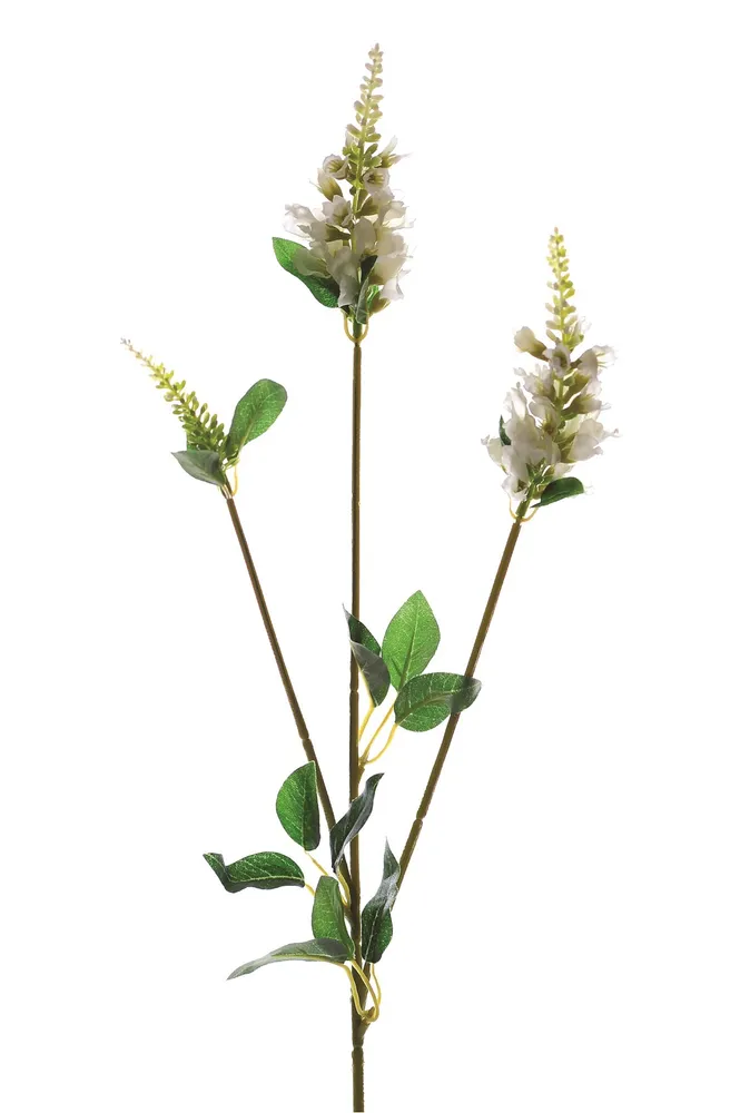 CB Physostegia Spray Cream 63cm