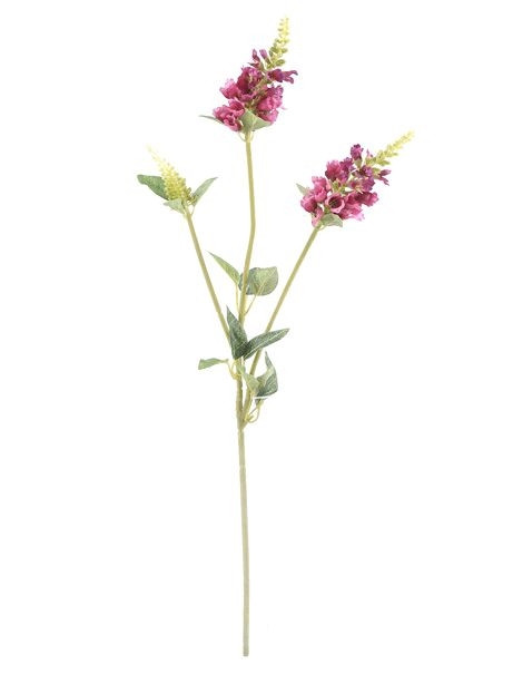 CB Physostegia Spray Pink 63cm