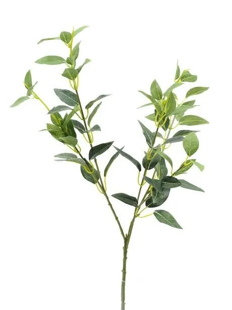 CB Privet Spray 69cm