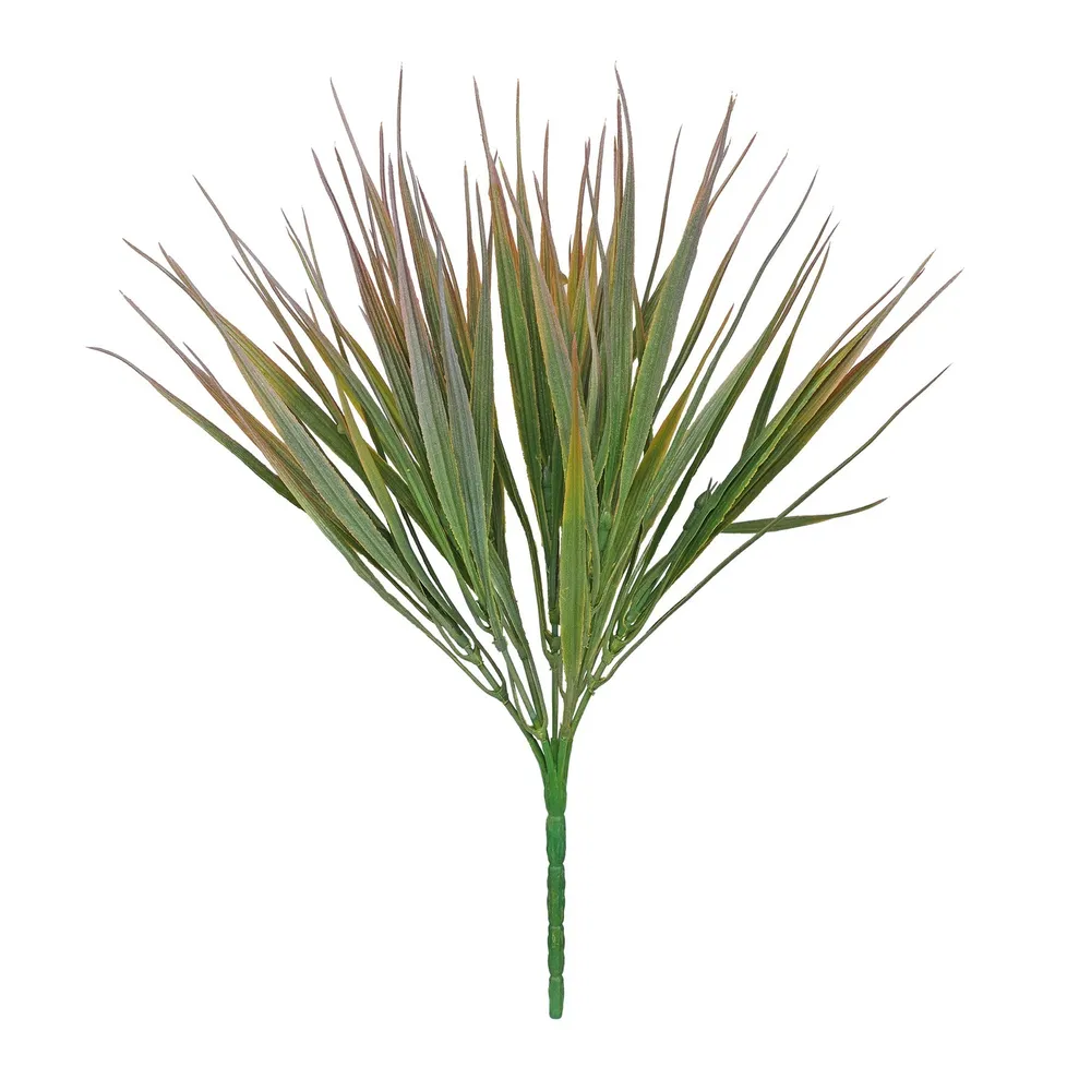 CB Essential Grass Bush