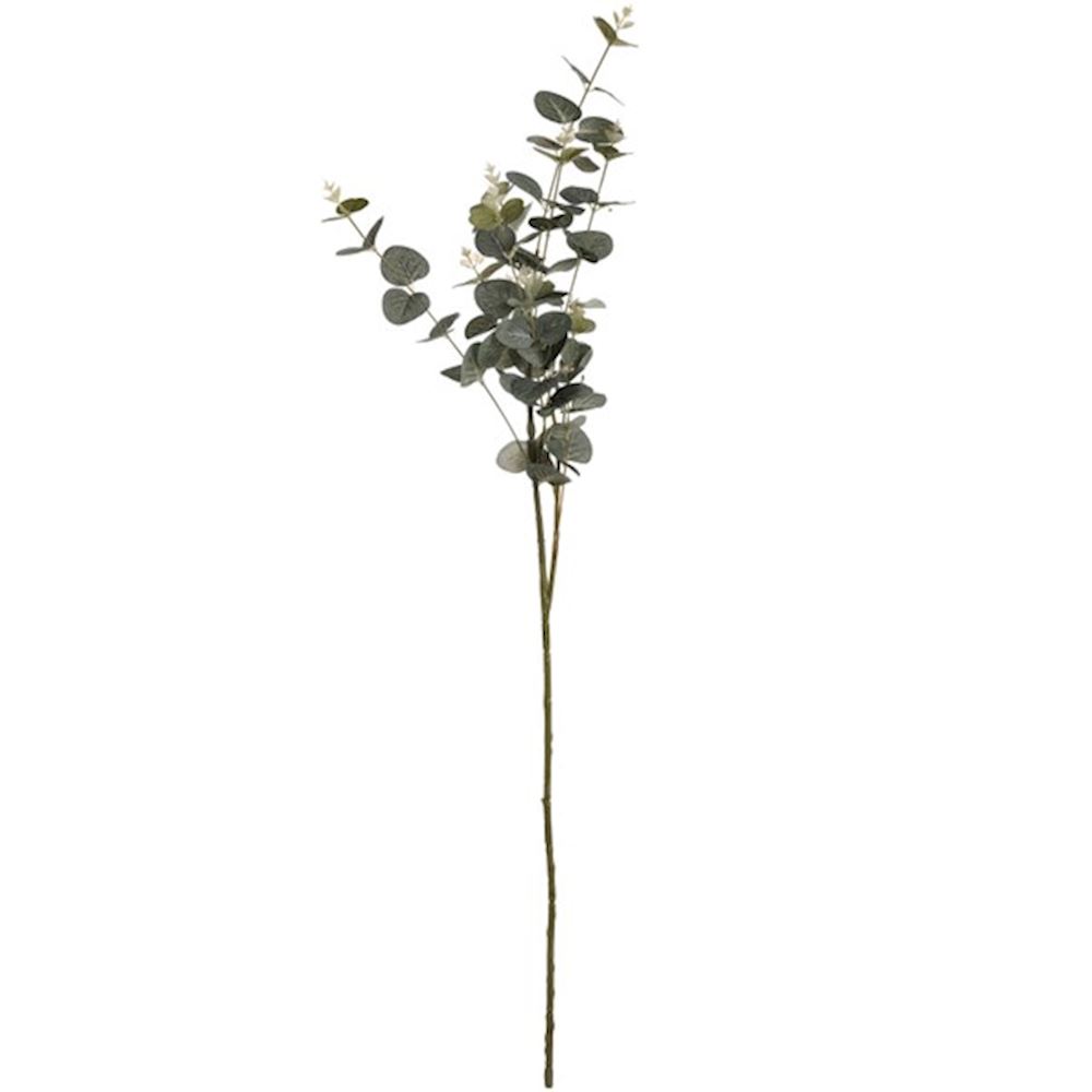 WJ Eucalyptus spray 13x22x91cm