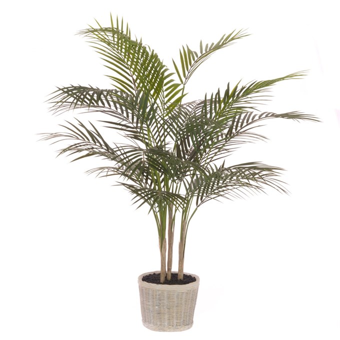 FS Palm Tree In Ceramic Pot 91cm