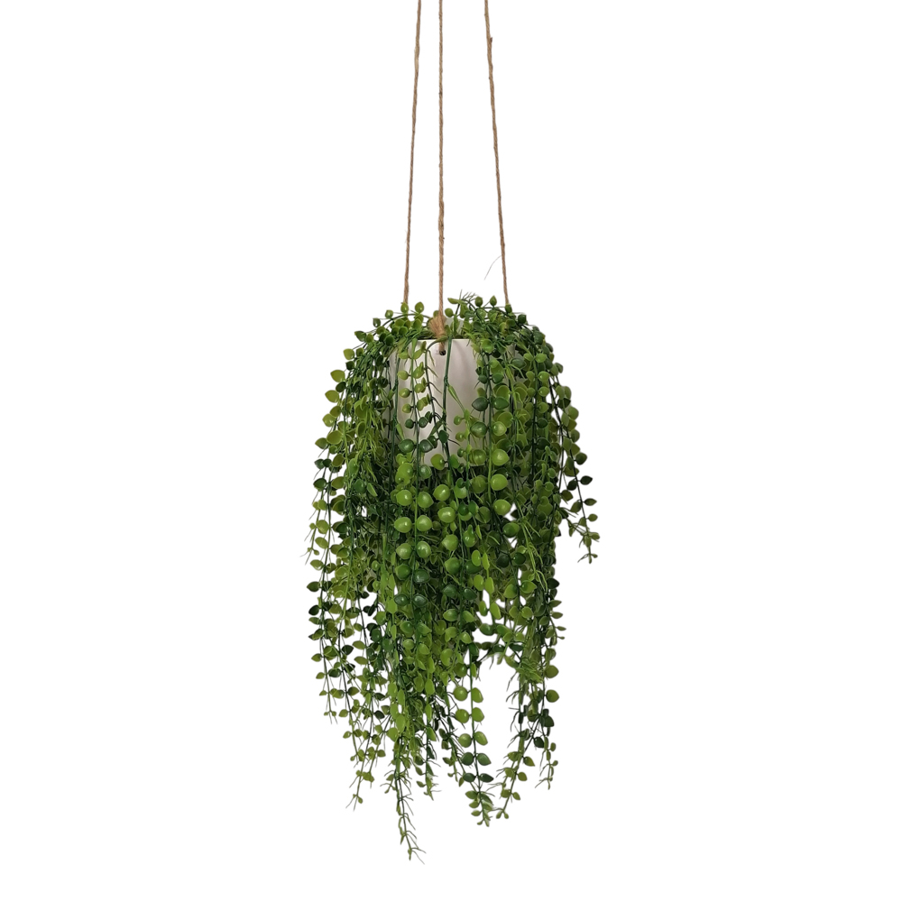TL Hanging Plant White Pot