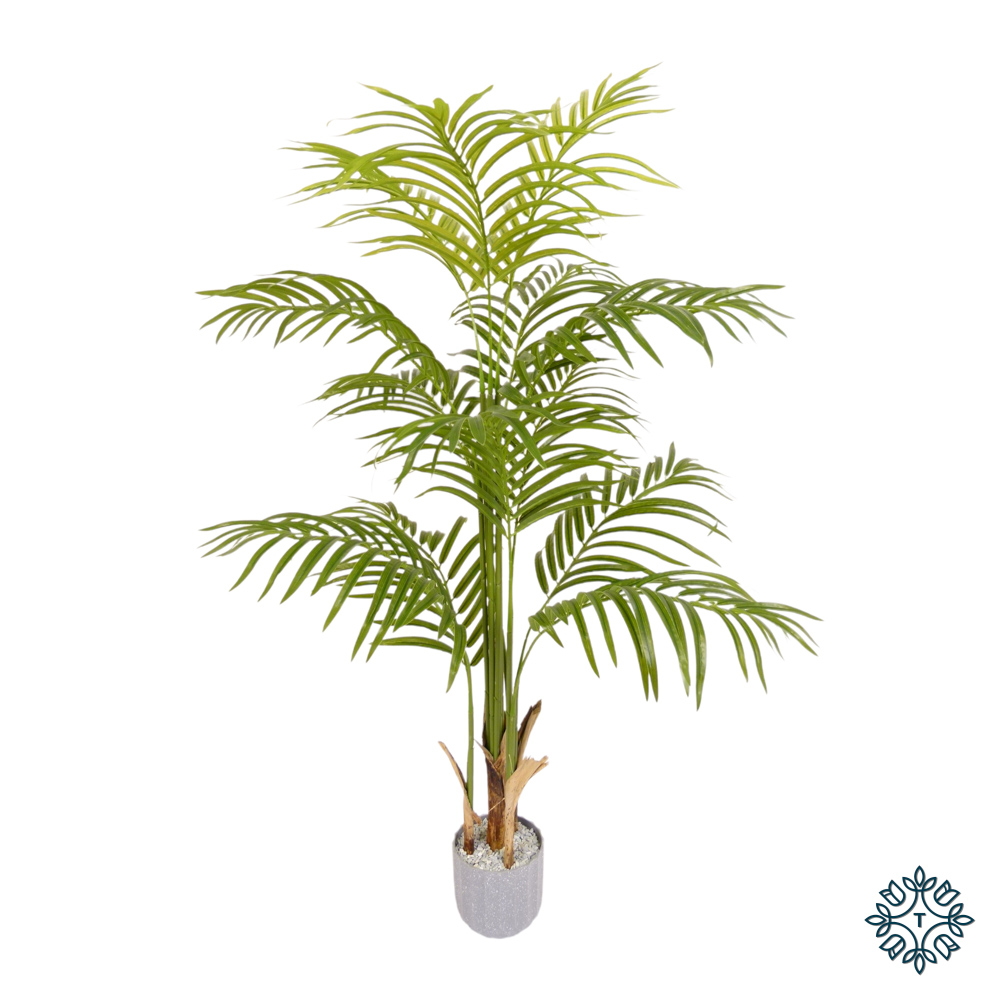 TL Lady Palm Tree 110cm