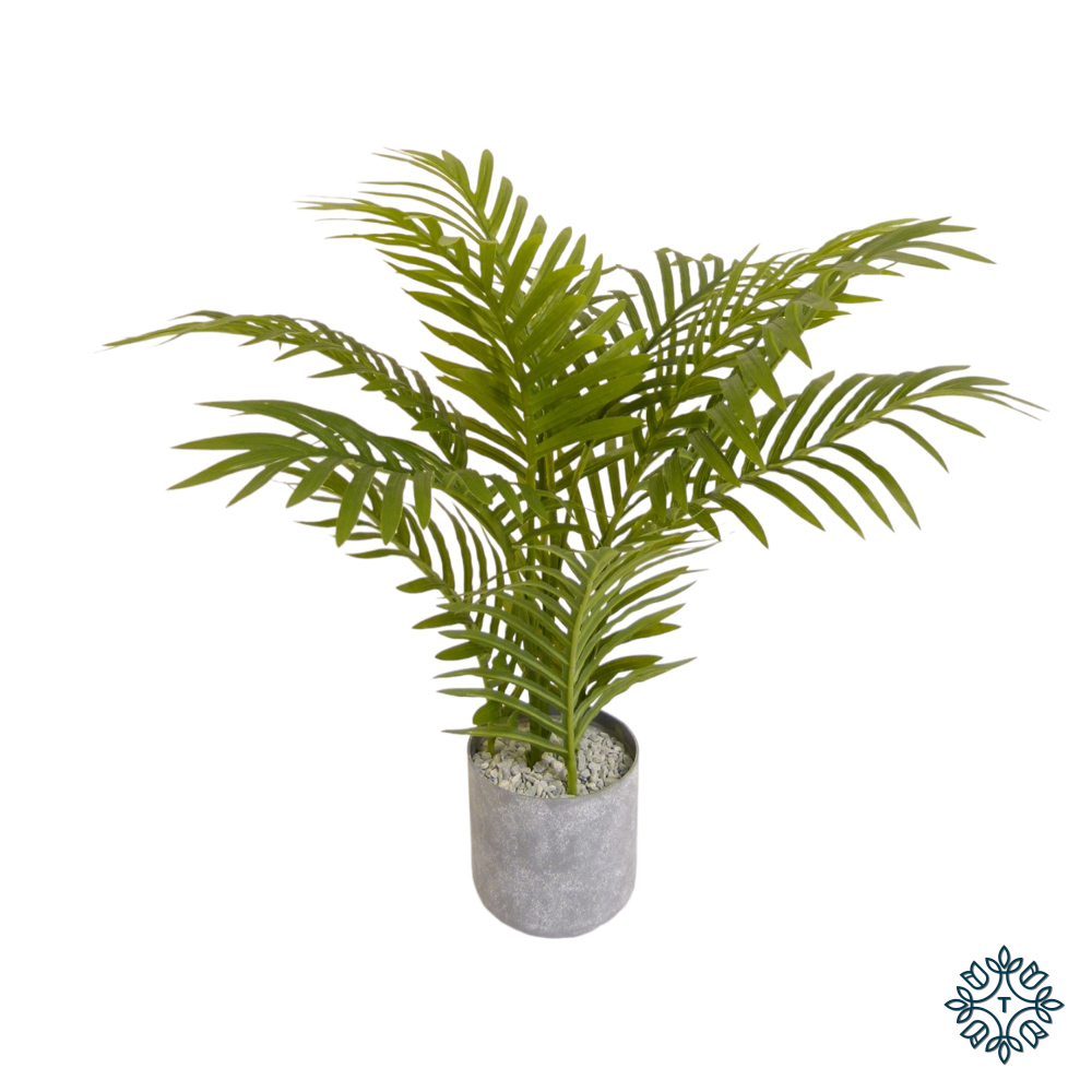 TL Mini Palm 45cm
