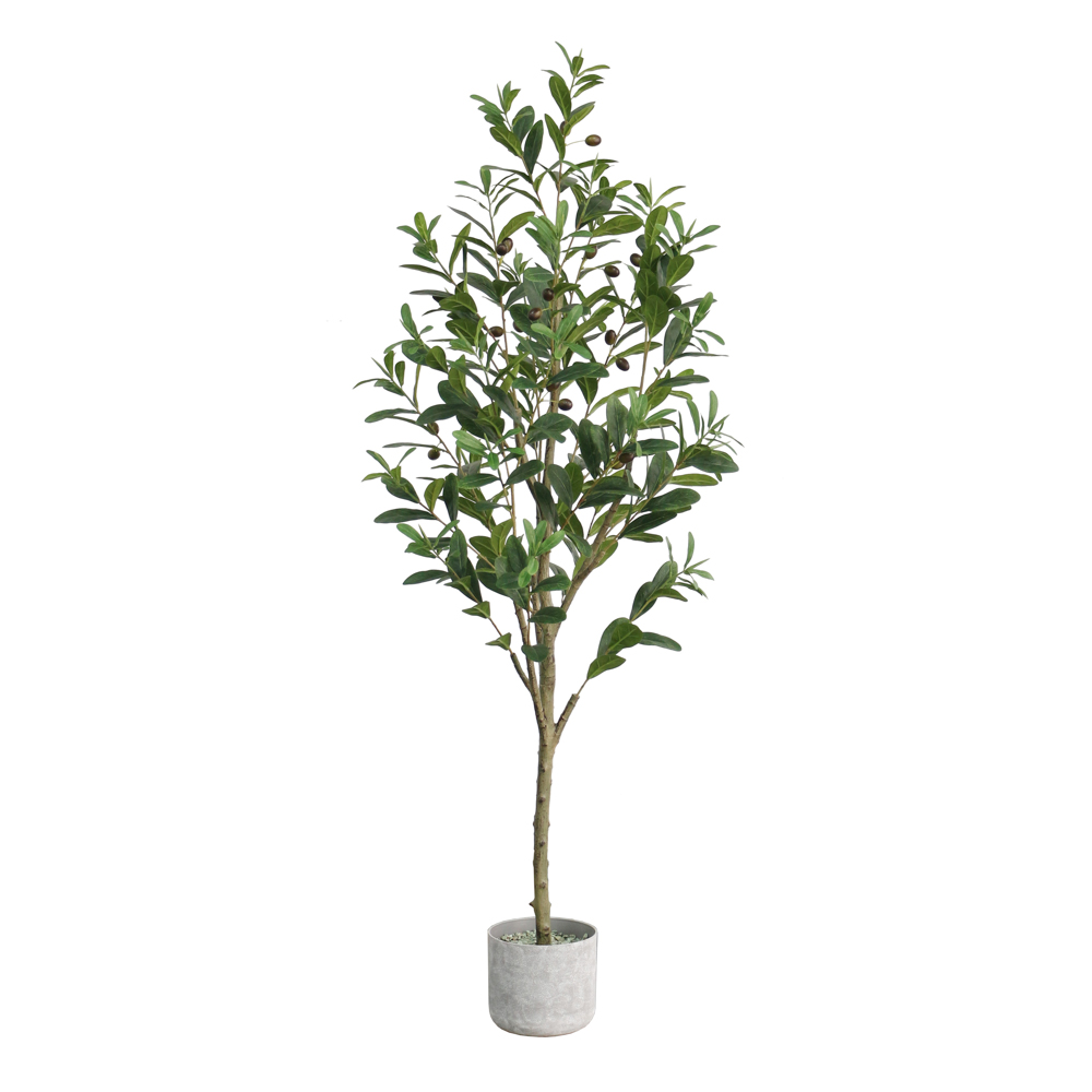 TL Olive Tree 150cm