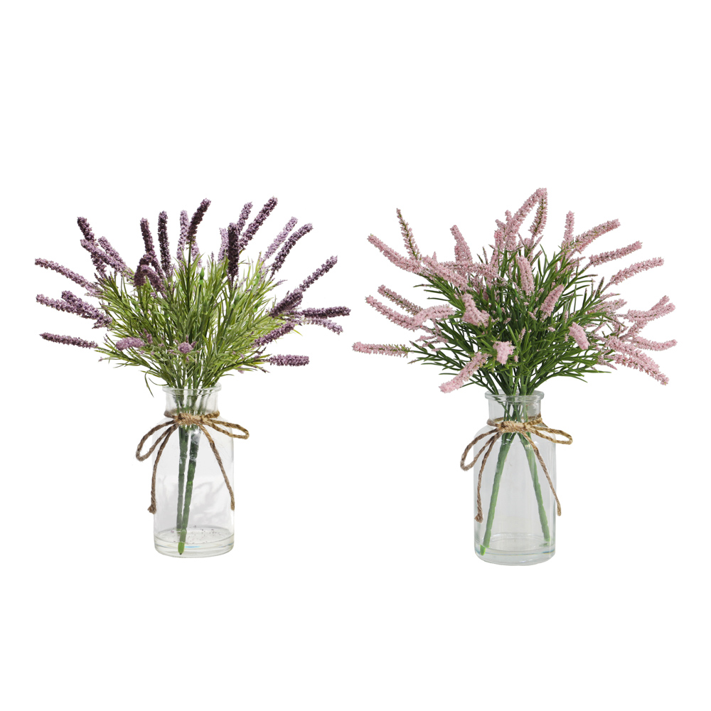 TL Potted Lavendar Asst