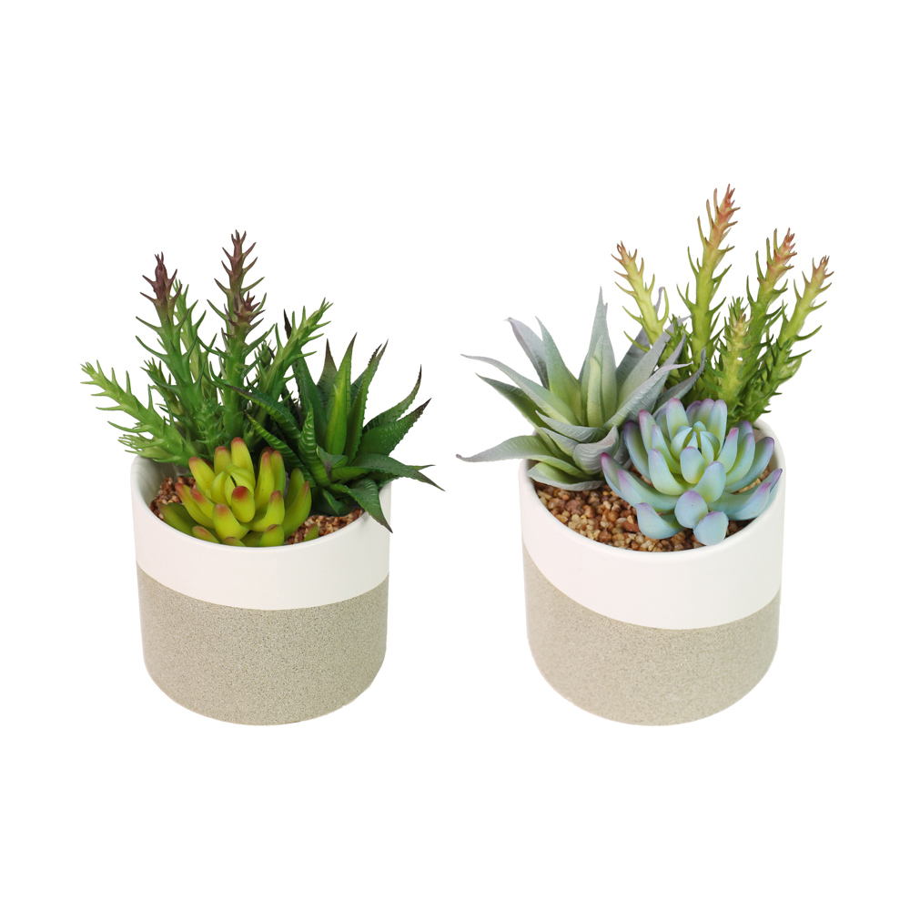TL Potted Plant Beige Asst