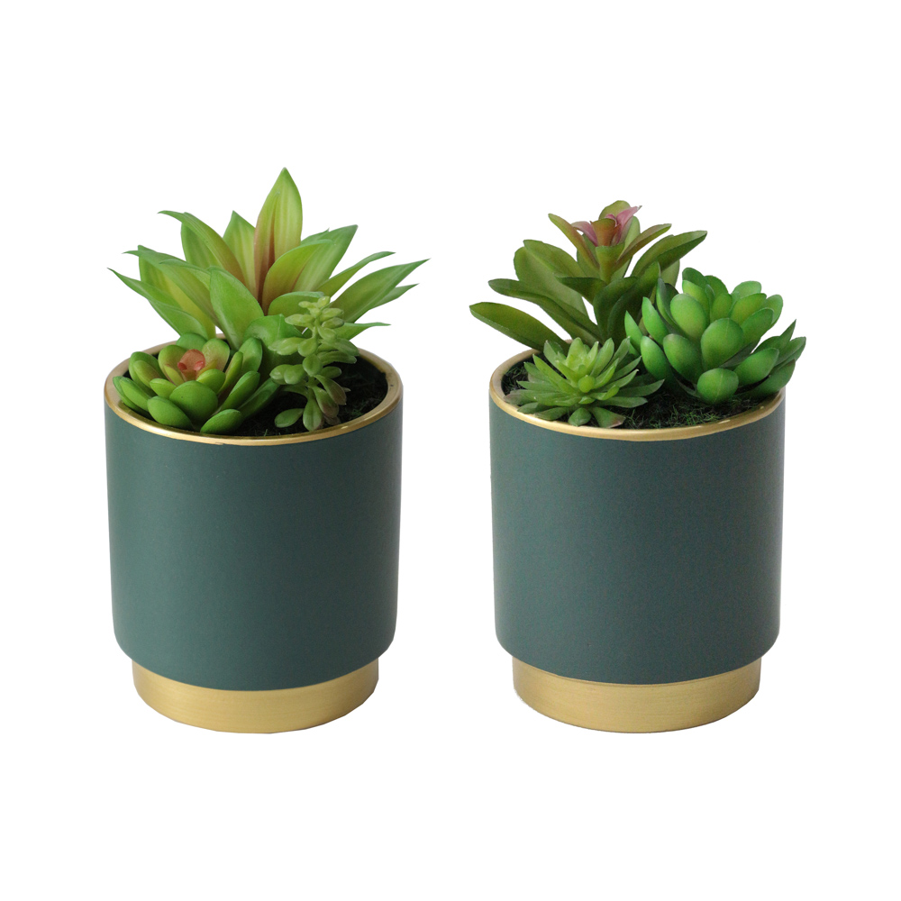 TL Potted Plant Teal Asst