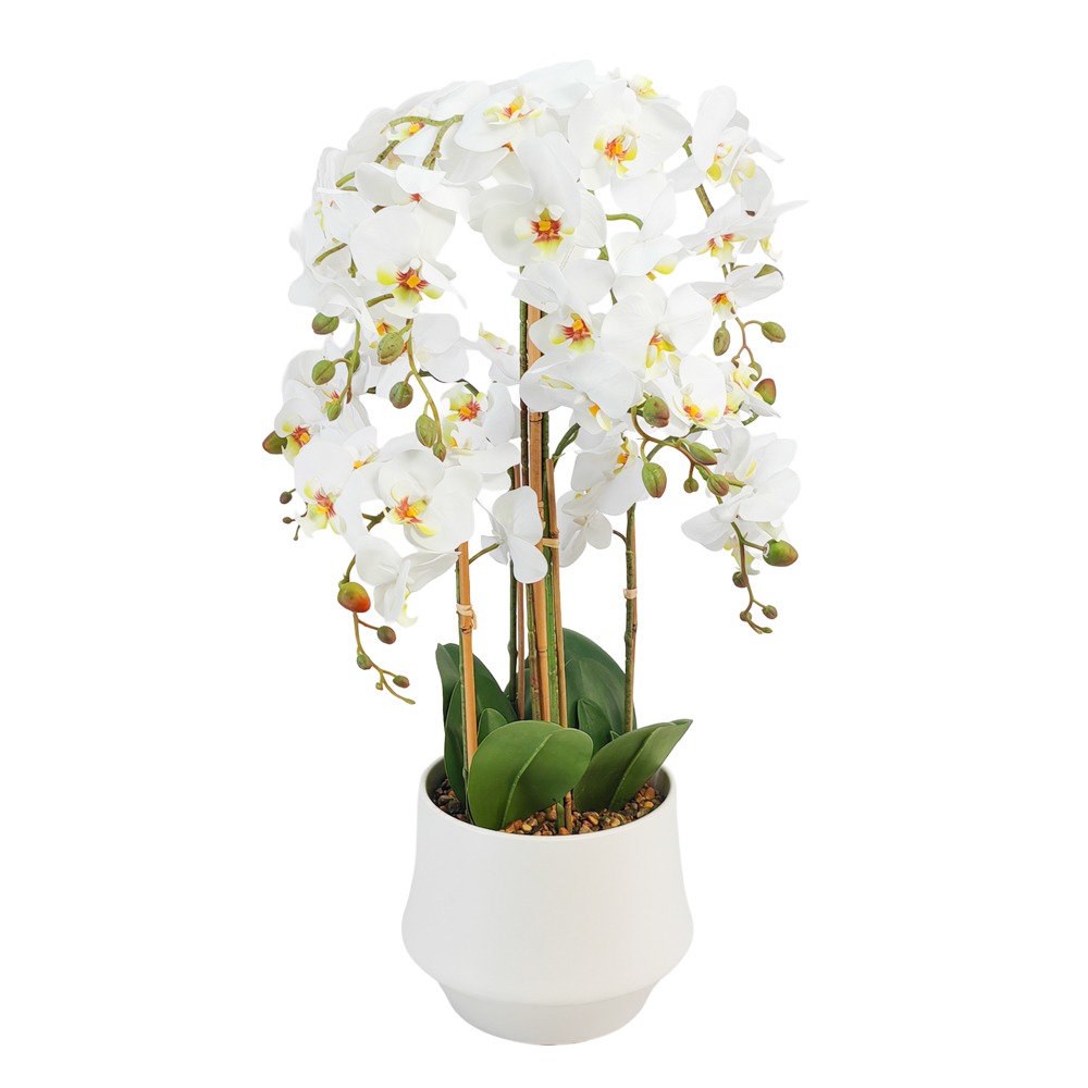 TL Potted Orchid White 82cm