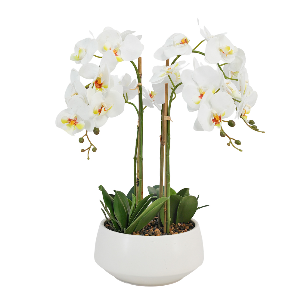 TL Potted Orchid White 53cm